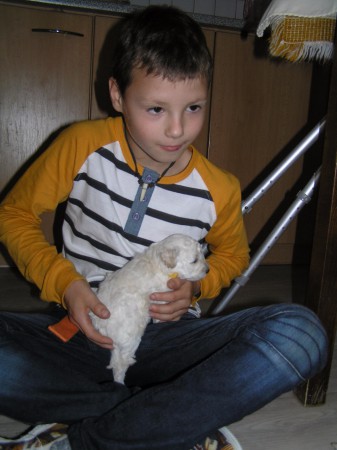 DAN & třitýdenní CASTOR 